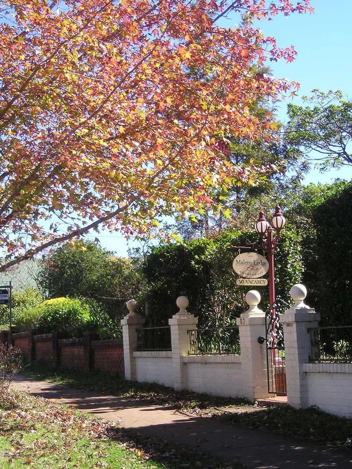 Maleny Lodge ภายนอก รูปภาพ